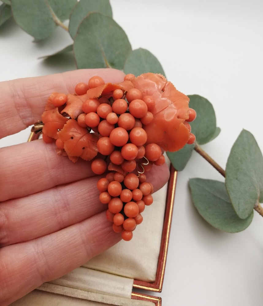 Impressive Victorian c1850 coral and gold brooch with drop - Image 6