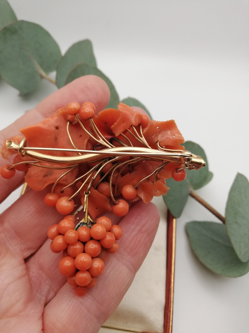 Impressive Victorian c1850 coral and gold brooch with drop