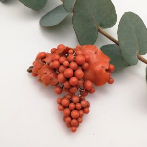 Impressive Victorian c1850 coral and gold brooch with drop