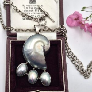 Vintage Arts and Crafts nautilus shell pendant in silver with antique chain