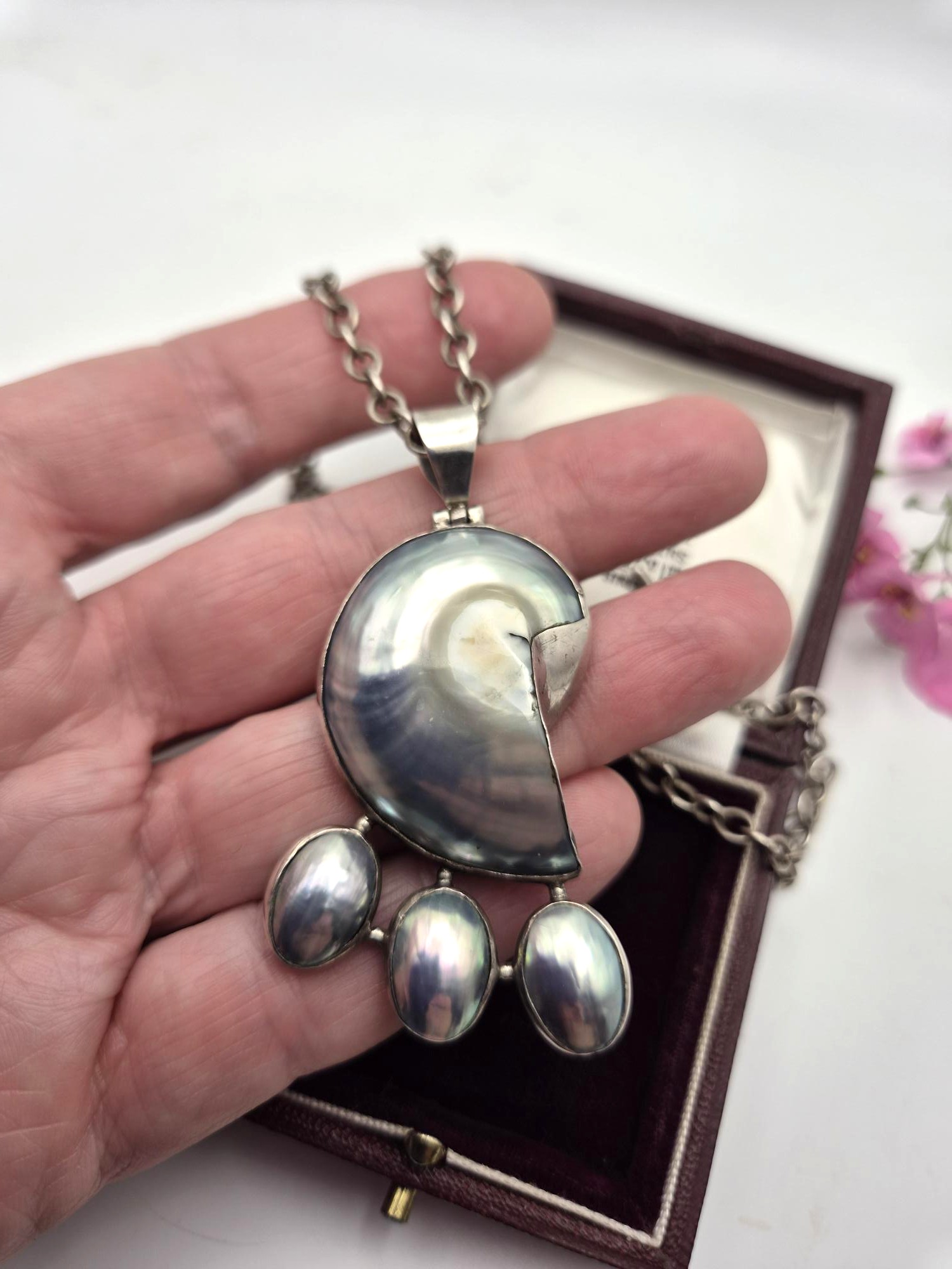 Vintage Arts and Crafts nautilus shell pendant in silver with antique chain - Image 3