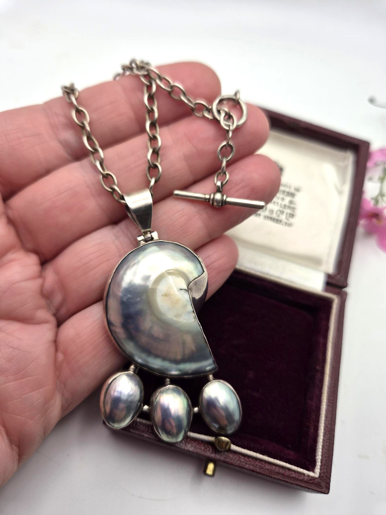 Vintage Arts and Crafts nautilus shell pendant in silver with antique chain - Image 2