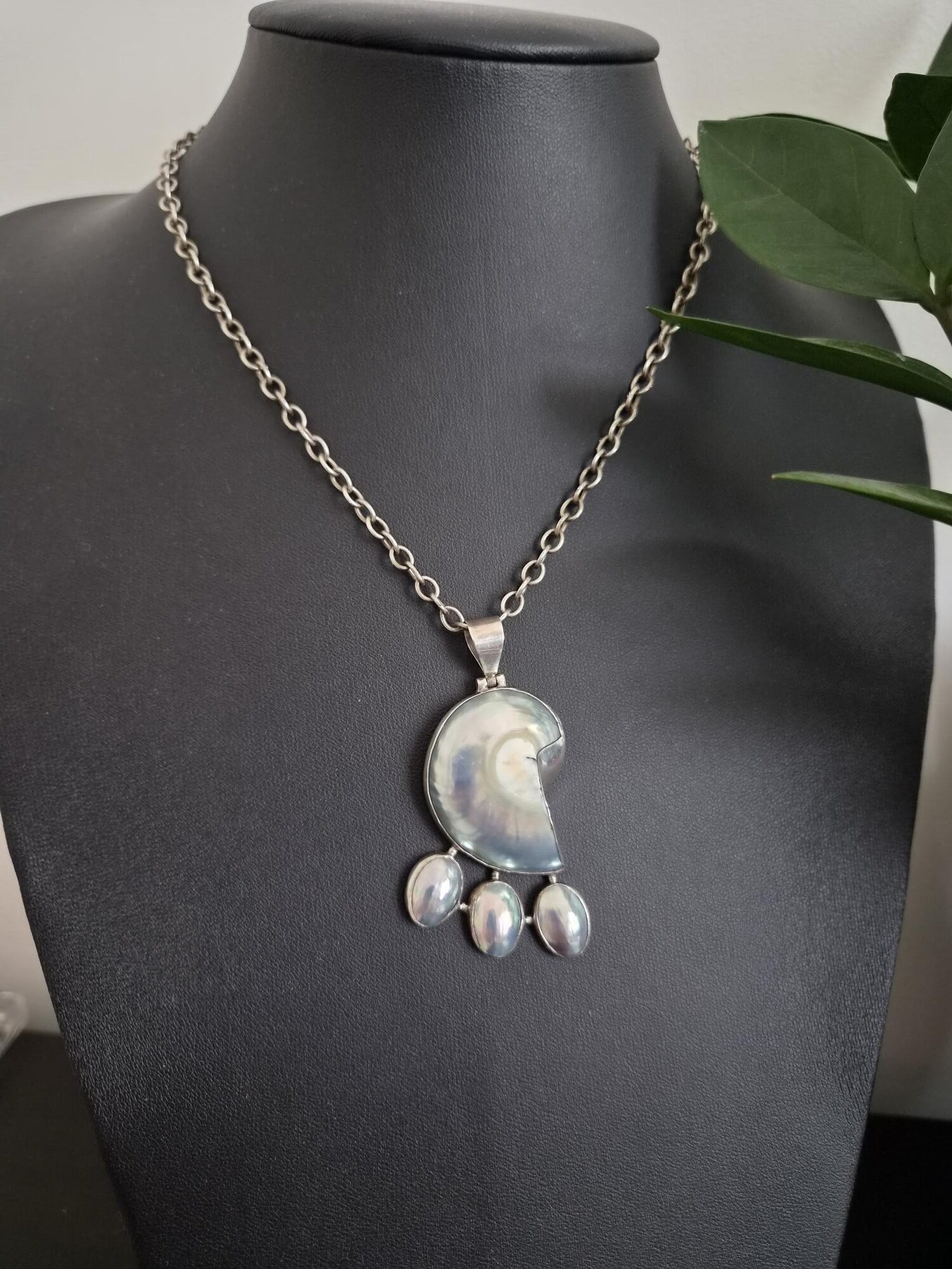 Vintage Arts and Crafts nautilus shell pendant in silver with antique chain - Image 6